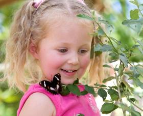 Coffs Harbour Butterfly House - E Caravan Parks 0