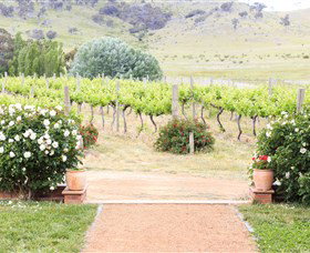 Brindabella Hills Winery - E Caravan Parks 0