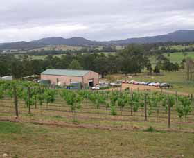 Villa D Esta Vineyard - E Caravan Parks 0