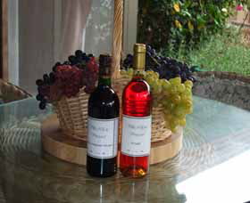Villa D Esta Vineyard - E Caravan Parks 2
