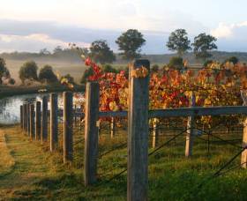 Roses Vineyard At Innes View - E Caravan Parks 2