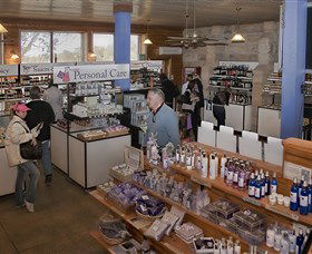 Pokolbin Estate Vineyard - E Caravan Parks 2