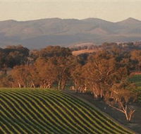 Angullong Wines - E Caravan Parks