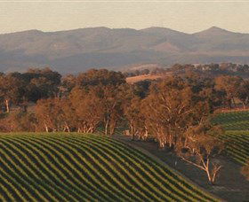 Angullong Wines - E Caravan Parks 0