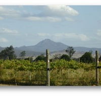 Ironbark Ridge Vineyard - E Caravan Parks