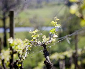 Curlewis VIC E Caravan Parks