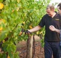 Fratin Brothers Vineyard - E Caravan Parks