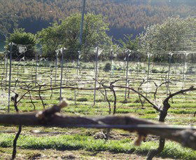 Three Willows Vineyard - E Caravan Parks 0