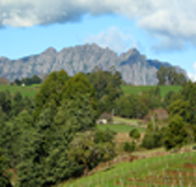 Lake Barrington Vineyard - E Caravan Parks