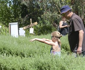 Hedgend Maze And Healesville Laser Sport - E Caravan Parks 2