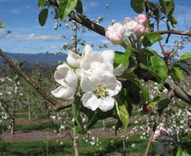 Lower Bago NSW E Caravan Parks