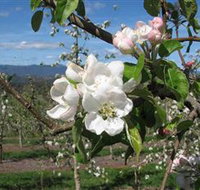 Mouat's Farm - E Caravan Parks