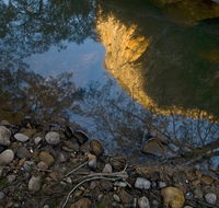 Abercrombie Karst Conservation Reserve - E Caravan Parks
