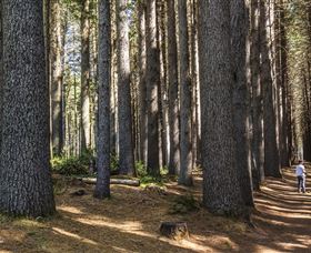 Sugarpine Walk - E Caravan Parks 0