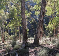 Mount Gray walking track - E Caravan Parks