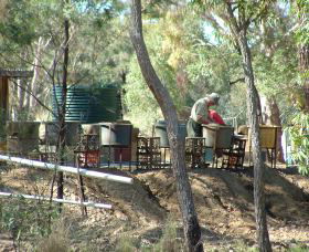 7 Oaks Sapphire Fossicking - E Caravan Parks 0