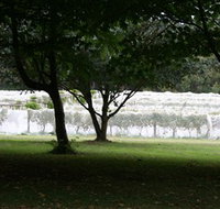 Staindl Wines