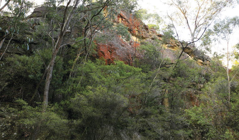 Good Forest NSW E Caravan Parks