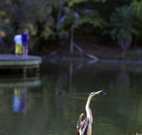 Birdwatching in the South Burnett - E Caravan Parks
