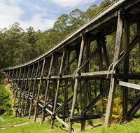 Noojee Trestle Bridge - E Caravan Parks