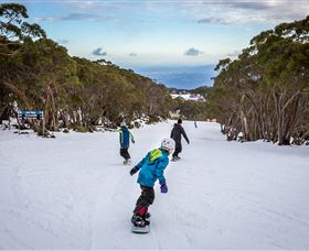 Mt Baw Baw Alpine Resort - E Caravan Parks 0