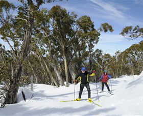 Mt Baw Baw Alpine Resort - E Caravan Parks 4