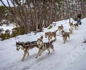 Mt Baw Baw Alpine Resort - E Caravan Parks 5