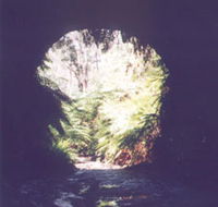Glow Worm Tunnel - E Caravan Parks