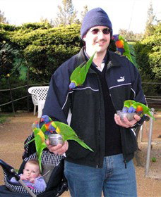 Canberra Walk In Aviary - E Caravan Parks 0