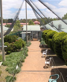 Canberra Walk In Aviary - E Caravan Parks 3
