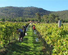 Savina Lane Premum Wines - E Caravan Parks 1