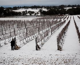 Savina Lane Premum Wines - E Caravan Parks 2