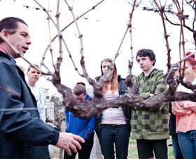 Varias Restaurant And Conference Centre Incorporating Banca Ridge Winery Cellar Door - E Caravan Parks 3