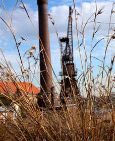 Click Walk Learn Photography Tours - E Caravan Parks 2