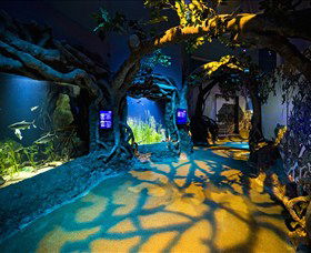 SEA LIFE Sydney Aquarium - E Caravan Parks 2
