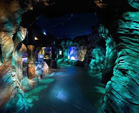 SEA LIFE Sydney Aquarium - E Caravan Parks 3