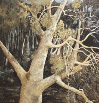 Allawah NSW E Caravan Parks