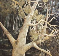 Ku-Ring-Gai Art Centre  Gallery - E Caravan Parks
