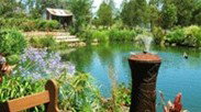Gone Walkabout Safaris - E Caravan Parks 0