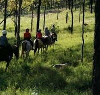 Hunter Valley Horse Riding and Adventures - E Caravan Parks