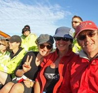 Byron Bay Whale Watching - E Caravan Parks