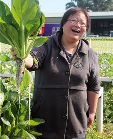 TCP Day Tours - E Caravan Parks 3