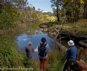 Australian Sightseeing And Photography Tours - E Caravan Parks 5