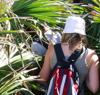 Palm Jungle loop track