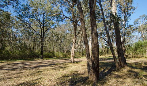 Scheyville Horse Riding Trails - E Caravan Parks 1