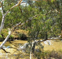 Quilberry Creek Fishing - E Caravan Parks