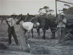 Platform 1 Heritage Farm Railway - E Caravan Parks 3