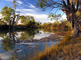 Murray River National Park - E Caravan Parks 0