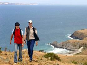 Delamere SA E Caravan Parks