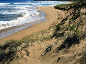 Waitpinga SA E Caravan Parks